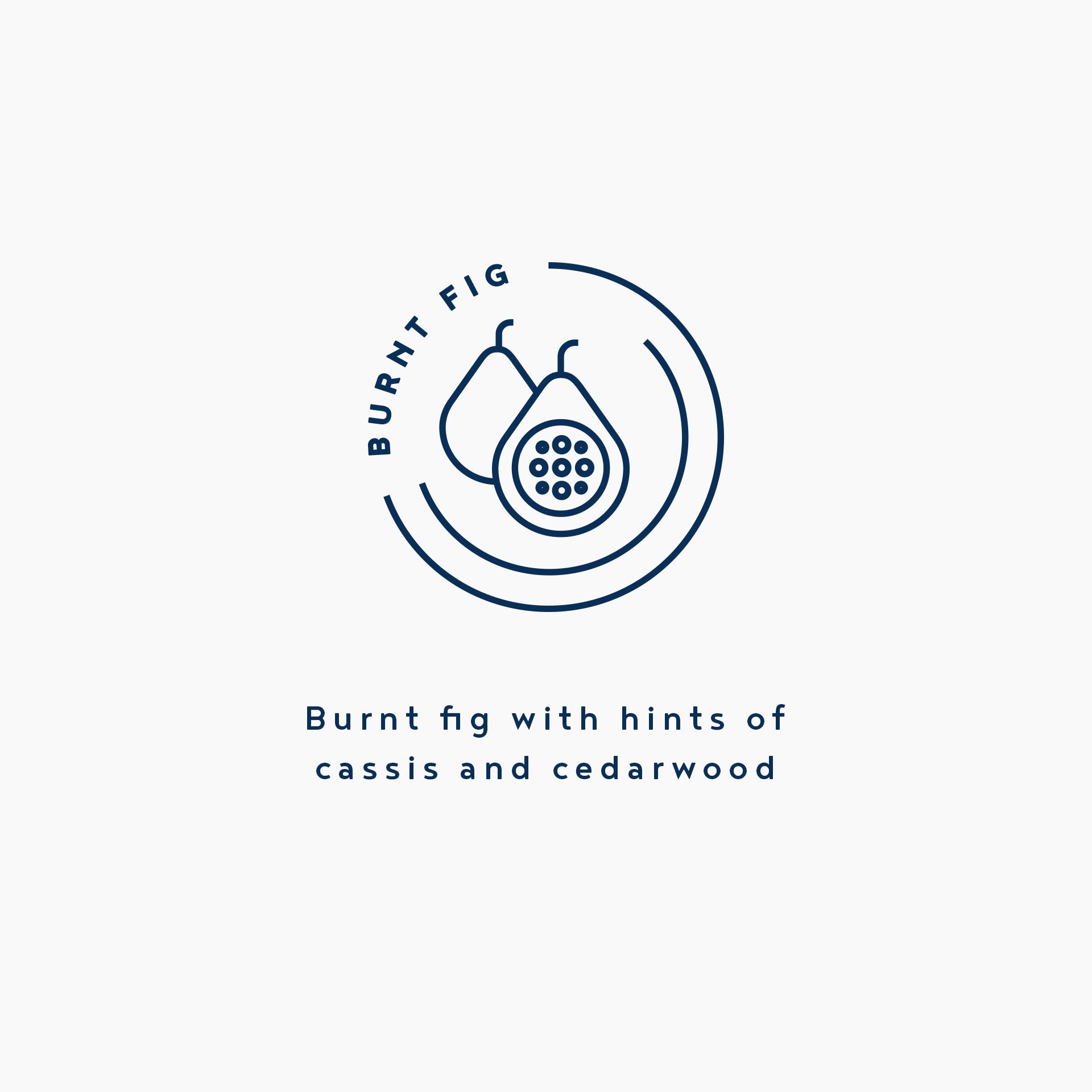 Kandila Company Burnt Fig Natural Vegan Soy Candle Melbourne Australia