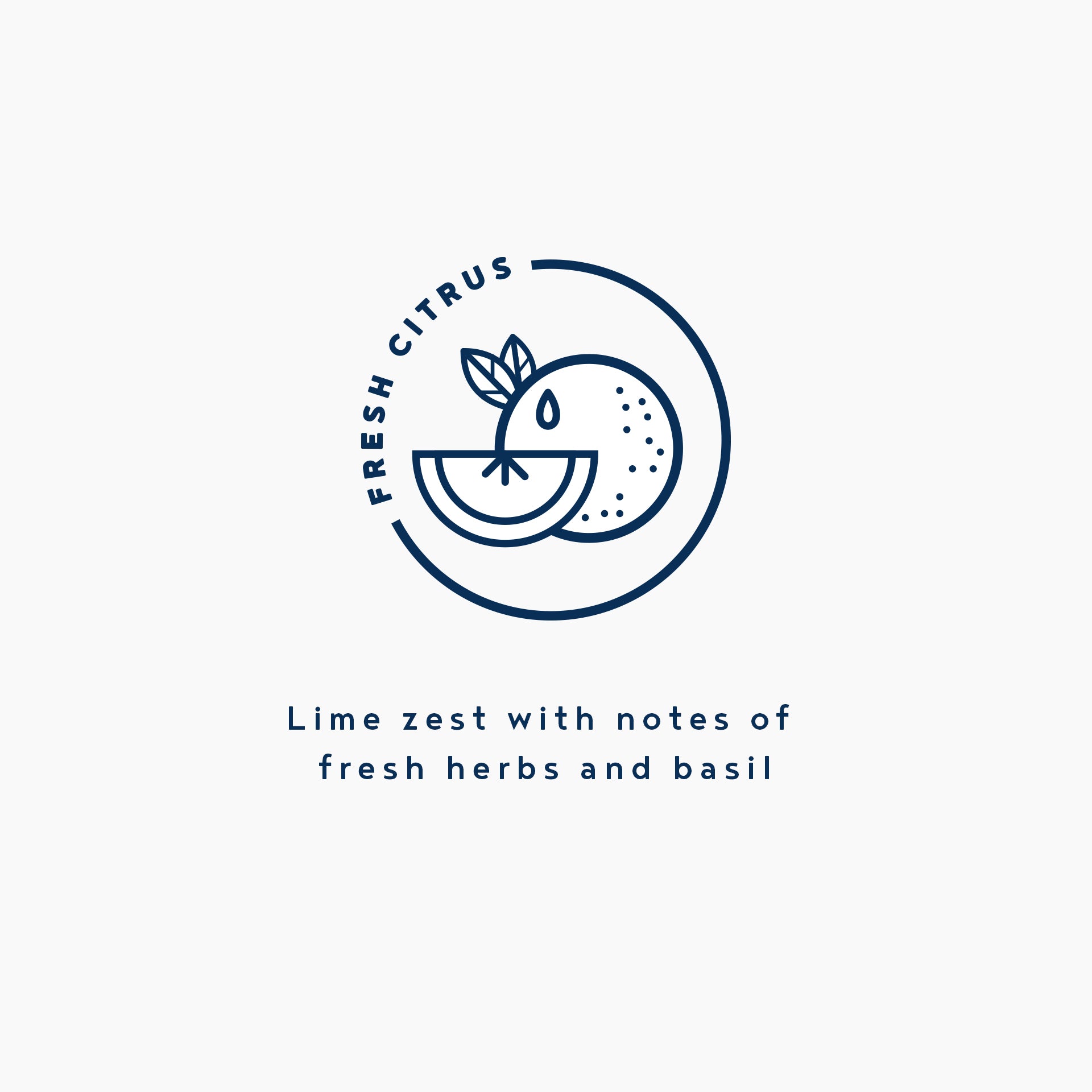 Kandila Company Fresh Citrus Natural Vegan Soy Candle Melbourne Australia
