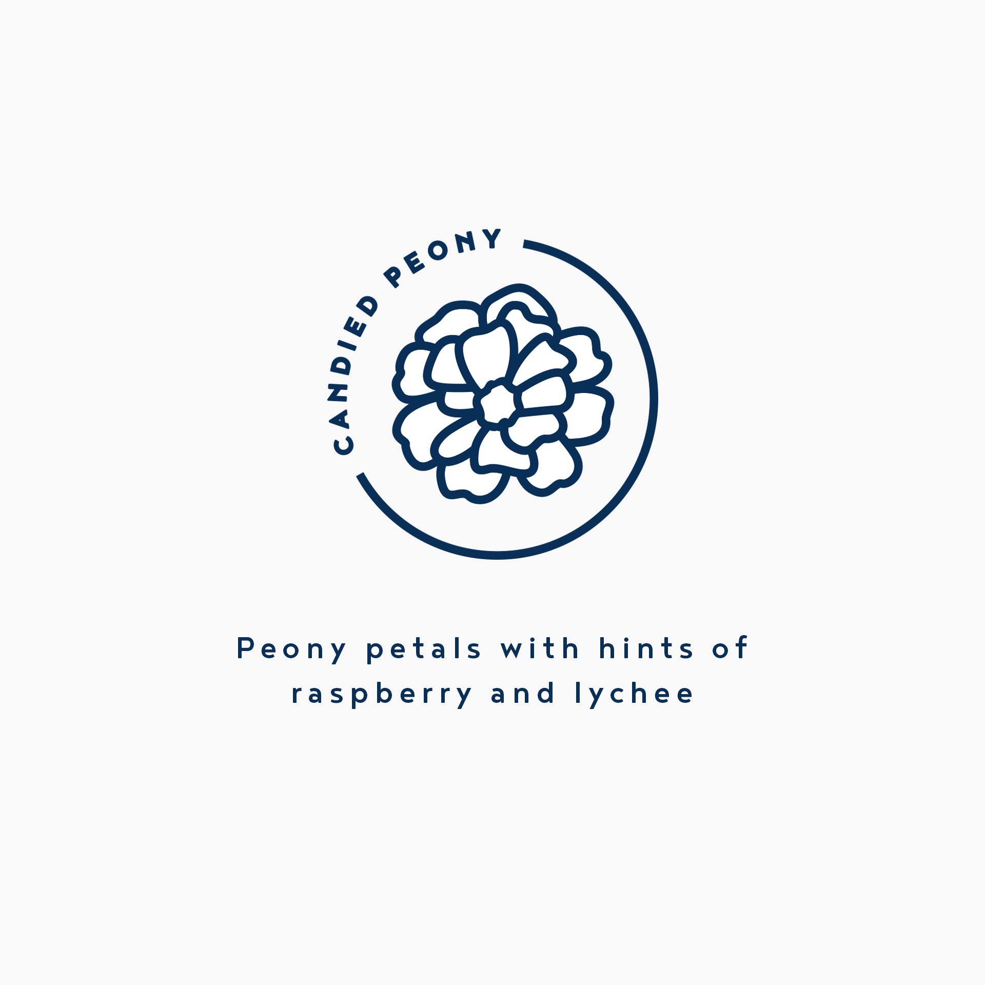 Kandila Company Candied Peony Natural Vegan Soy Candle Melbourne Australia
